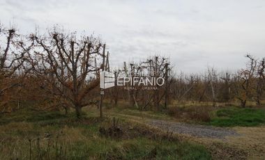 Venta - Chacra Excelente Producción - Contralmirante Cordero - R014
