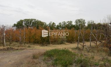 Venta - Chacra Excelente Producción - Contralmirante Cordero - R014