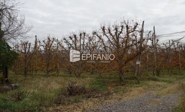 Venta - Chacra Excelente Producción - Contralmirante Cordero - R014