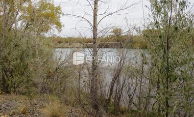 Venta - Chacra Excelente Producción - Contralmirante Cordero - R014