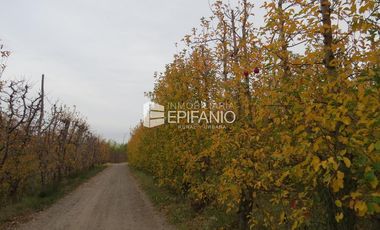 Venta - Chacra Excelente Producción - Contralmirante Cordero - R014
