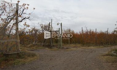 Venta - Chacra Excelente Producción - Contralmirante Cordero - R014