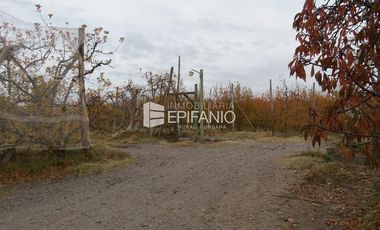 Venta - Chacra Excelente Producción - Contralmirante Cordero - R014