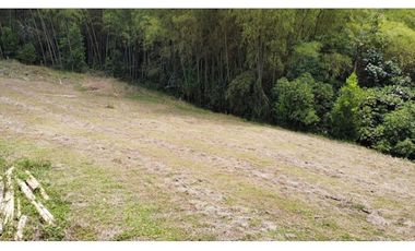 VENTA de LOTES en PEREIRA