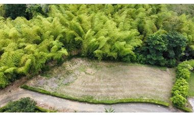 VENTA de LOTES en PEREIRA