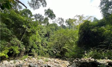 Venta finca Sierra Nevada via Ciudad Perdida