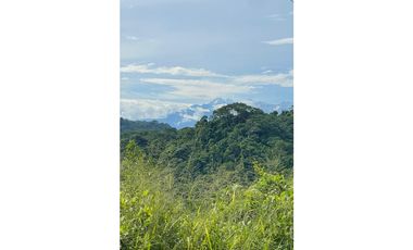 Venta finca Sierra Nevada via Ciudad Perdida