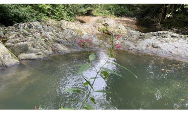 Venta finca Sierra Nevada via Ciudad Perdida