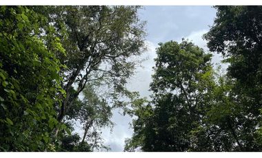 Venta finca Sierra Nevada via Ciudad Perdida