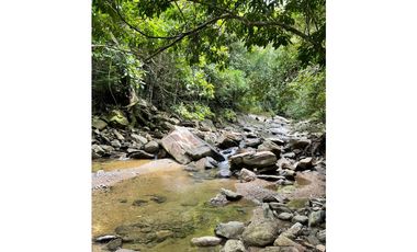 Venta finca Sierra Nevada via Ciudad Perdida