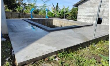 VENDO CABAÑA CASI TERMINADA EN COORDILLERA