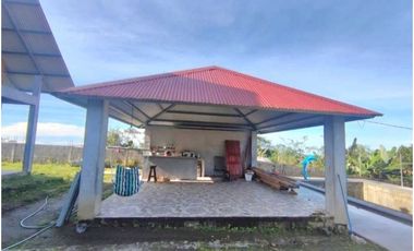 VENDO CABAÑA CASI TERMINADA EN COORDILLERA