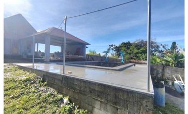VENDO CABAÑA CASI TERMINADA EN COORDILLERA