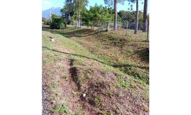 VENDO TERRENO DE 1.9 HECTAREA POTRERILLOS
