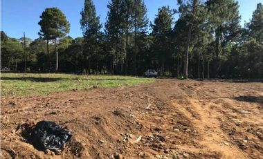 VENDO TERRENO DE 1.9 HECTAREA POTRERILLOS