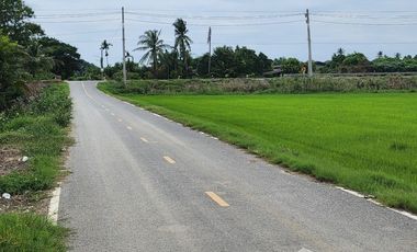 Land for sale in Wang Taku, Nakhon Pathom