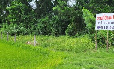 Land for sale in Wang Taku, Nakhon Pathom