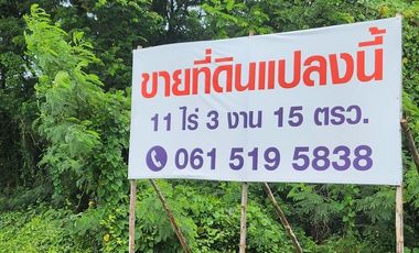Land for sale in Wang Taku, Nakhon Pathom