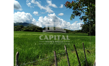 TERRENO-EL OLIVO DEL CAÑO DE NATA COCLE