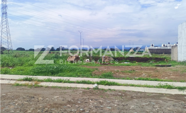 Terreno “Lote 23 en Venta en Montellano en Villa de lvarez Colima