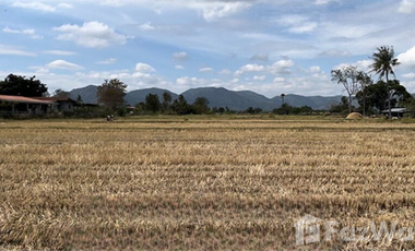 Land for sale in Cha-Am, Phetchaburi