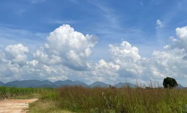 Land for sale in Rai Mai Phatthana, Phetchaburi