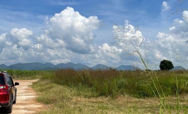 Land for sale in Rai Mai Phatthana, Phetchaburi