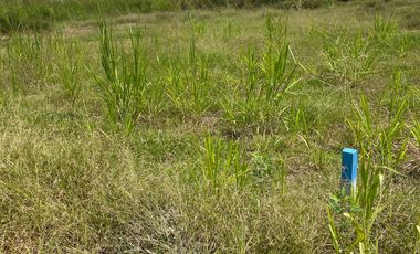 Land for sale in Rai Mai Phatthana, Phetchaburi