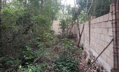 Terreno en  Venta en Puerto Morelos
