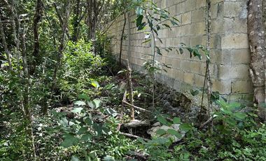Terreno en  Venta en Puerto Morelos
