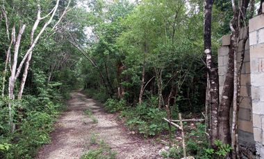 Terreno en  Venta en Puerto Morelos