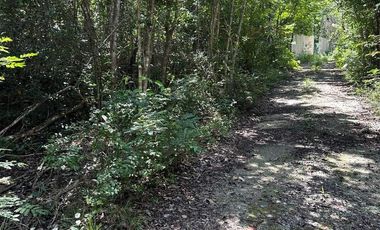 Terreno en  Venta en Puerto Morelos