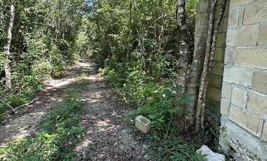 Terreno en  Venta en Puerto Morelos