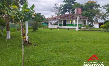 Finca ganadera en Arabia, Pereira