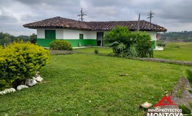 Finca ganadera en Arabia, Pereira