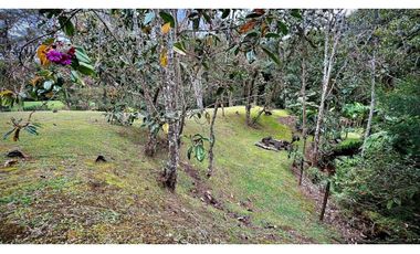 venta Finca Independiente Alto Palmas Envigado
