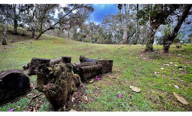 venta Finca Independiente Alto Palmas Envigado