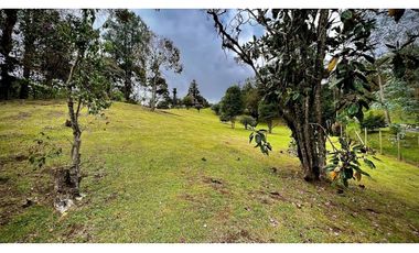 venta Finca Independiente Alto Palmas Envigado
