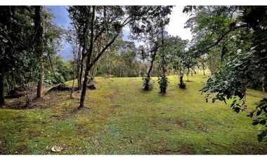 venta Finca Independiente Alto Palmas Envigado