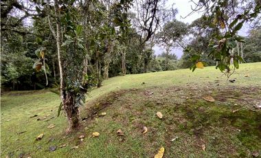 venta Finca Independiente Alto Palmas Envigado