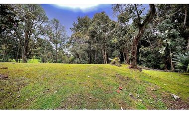venta Finca Independiente Alto Palmas Envigado