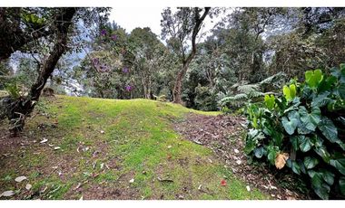 venta Finca Independiente Alto Palmas Envigado