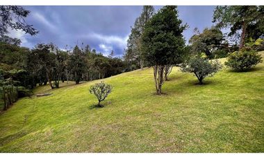 venta Finca Independiente Alto Palmas Envigado