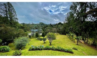 venta Finca Independiente Alto Palmas Envigado