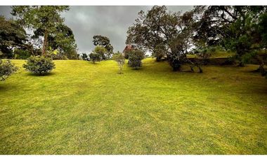 venta Finca Independiente Alto Palmas Envigado