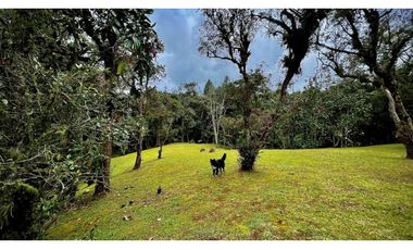 venta Finca Independiente Alto Palmas Envigado