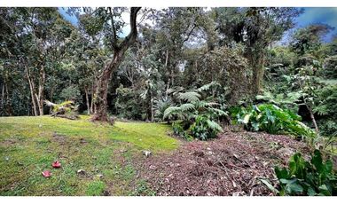 venta Finca Independiente Alto Palmas Envigado