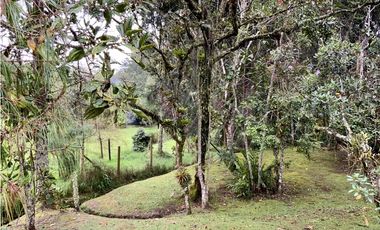 venta Finca Independiente Alto Palmas Envigado