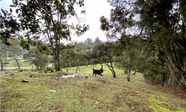 venta Finca Independiente Alto Palmas Envigado