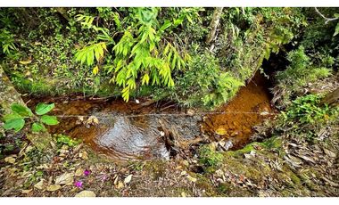 venta Finca Independiente Alto Palmas Envigado
